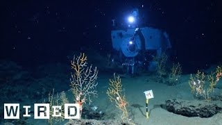 The Alvin Submarine Part 2 Incredible Views OnBoard the DeepSea Vessel​ [upl. by Candice]