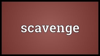 Scavenge Meaning [upl. by Cartwright]