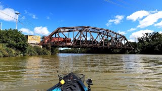 Catching fish from the Genesee River to Black Creek [upl. by Eesac]