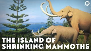 The Island of Shrinking Mammoths [upl. by Owain]