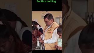 section cutting steps and method  monocot stem  botany practical  botany lab [upl. by Netsua659]