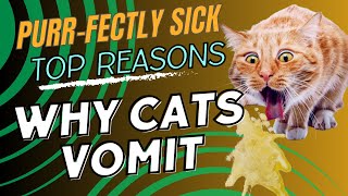 Unveiling the Mystery Why Do Cats Vomit 🐾  Exploring the Most Common Reasons [upl. by Inek]