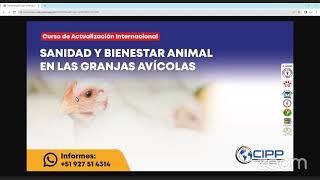 🔴𝑪𝑼𝑹𝑺𝑶 ➡️ SANIDAD Y BIENESTAR ANIMAL EN LAS GRANJAS AVÍCOLAS [upl. by Akeenat]