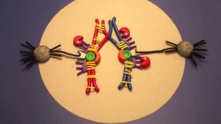 Meiosis in Clay [upl. by Arocet933]