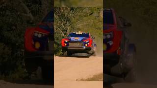 RALLY WRC 2024 Crazy moments [upl. by Roxanne565]