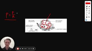 MCAT Question of the Day Fluids and Pascals Law [upl. by Ainit729]