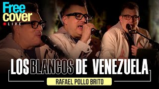 Free Cover Rafael Pollo Brito  Homenaje a Los Blanco de Venezuela [upl. by Lienet]