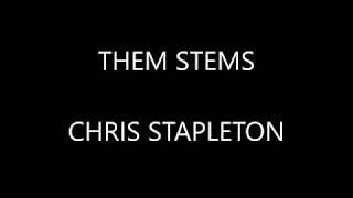 Chris Stepleton  Them Stems  Lyrics [upl. by Fillender]