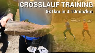 Crosslauf Training 8x1km in 310minkm I Vorbereitung auf die Cross Europameisterschaft [upl. by Ing]