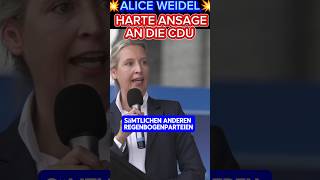 💥ANSAGE💥 an MERZ amp CDU afd aliceweidel sachsen landtagswahl2024 brandenburg thüringen ampel [upl. by Edythe]