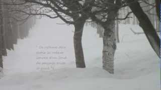 Footprints in the Snow  Des pas sur la neige  Preludes Book 1 No 6 Debussy [upl. by Halladba]