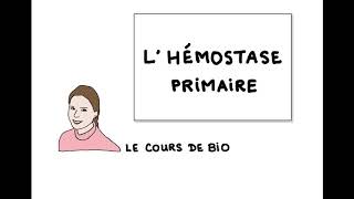 Hémostase primaire [upl. by Berthe]