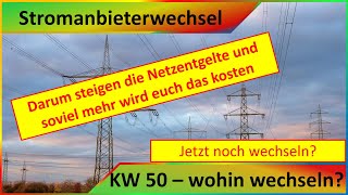 Stromanbieter und Stromtarif  Wohin wechseln  Wieviel steigen die Netzentgelte 2024  KW 50 [upl. by Cheke588]