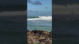 Haleiwa set this morning surfing hawaii northshore surf set waves wsl [upl. by Bensen]