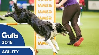 Agility  Crufts Singles Final  SML Agility Part 2  Crufts 2018 [upl. by Hessler]