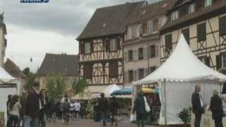 1ère Fête des récoltes de Colmar [upl. by Araihc79]