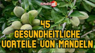 45 gesundheitliche Vorteile von Mandeln [upl. by Earazed]