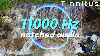 Tinnitus Sound Therapy  11000 Hz notched audio  Dreaming Waterfall [upl. by Jedd249]