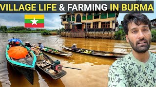 VILLAGE LIFE AND FARMING IN MYANMAR 🇲🇲 [upl. by Cheryl]