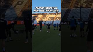 PREMARCH TRAINING FCSB  PAOK  FCSB  EUROPA LEAGUE [upl. by Eerbua480]