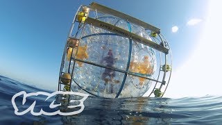 Florida Man Runs to Bermuda in a Giant Bubble  WTFLORIDA [upl. by Siulegroj]