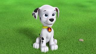 Paw Patrol Funny Moments  Best Animation Moments For Kids 73 [upl. by Spector]