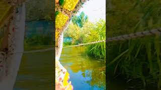 Dal Lake 🌀 forupag dallake itsdeekshajazz song [upl. by Carson245]