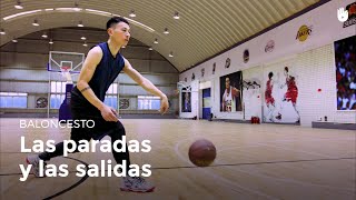 Las paradas y las salidas  Baloncesto [upl. by Arlan]