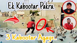 1 Kabutar Pakre  3 Kabootar Agaye  Pigeon Video  Kabutar Bazi  Adil Bhai [upl. by Einafets]