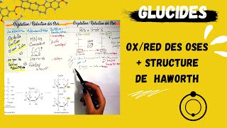 📣3 LES GLUCIDES PARTIE01 👌Oxydation et Reduction Des OsesStructure Cyclique De Haworth BIOLOGY [upl. by Eilak476]