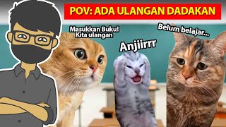 10 VIDEO KUCING PALING LUCU DAN NGAKAK [upl. by Erbas]