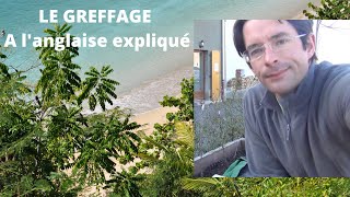 Le greffage à langlaise compliquée expliquée en vidéo Comment greffer à langlaise compliquée [upl. by Harberd]