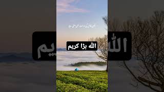 Allah kareem ha duet lovelypoetry allahhu bayan voiceeffects [upl. by Ecneralc]