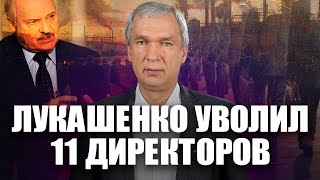 Лукашенко массово увольняет директоров [upl. by Ennaed]