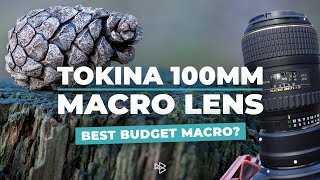 Is This the Best Budget Macro Lens You Can Get [upl. by Necyrb]