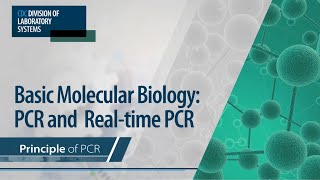 Basic Molecular Biology PCR and RealTime PCR – Principle of PCR [upl. by Lesak]