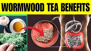 Doctors Are Shocked  Top 7 Wormwood Tea Benefits That You Must Know [upl. by Lotti]