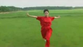 Wushu Chang Quan Si Duan Form 4 [upl. by Gasper]