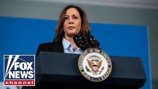 Harris aides point fingers at sexist media hurricanes for election loss [upl. by Eilatam]