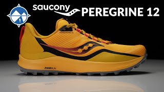 Saucony Peregrine 12 First Look  A Workhorse Trail Shoe Returns [upl. by Han]