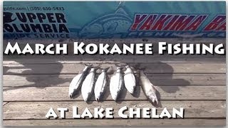 March Kokanee Fishing at Lake Chelan [upl. by Hna185]