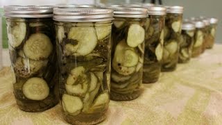 Canning Dill Pickle Chips [upl. by Tnilk568]