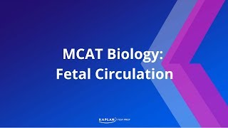 MCAT Biology Fetal Circulation [upl. by Vilberg]