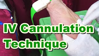 How to Insert IV Cannula  IV Cannulation Technique  Branula  Intravenous Catheter [upl. by Dyl779]