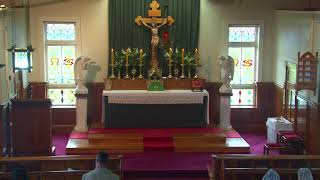 SSPXNZLIVE  Fifth Sunday after Pentecost  23rd June  Sung Mass [upl. by Daniele110]