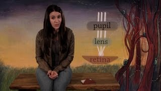 Science Stories Why do people wear glasses questions and answers for kids ages 8 and up [upl. by Rorrys]