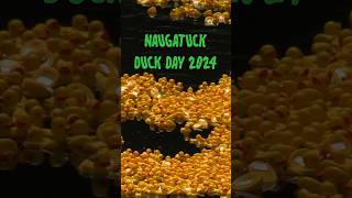 Naugatuck Duck Day 2024 [upl. by Kyte]