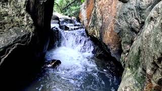 Babbling brook sounds for relaxation  Water Stream  Relaxing Nature Sounds  Study Deep Sleep [upl. by Enaerb]