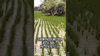 paddy weeder rs 13000 18000 21000 28000 35000 9787672239 melur madurai TN india3 [upl. by Dnaltiac]