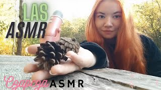 ASMR Po Polsku W LESIE [upl. by Nodnarg725]